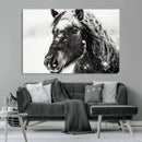 Framed Black and White Horse Wall Art | Ready to Hang and by MyGreatCanvas | Canvas Wall Art Prints | Photo Prints & Wall Decor