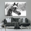 Black Horse Winter Wall Art | Ready to Hang and Framed |