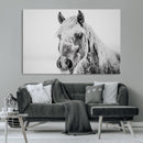 White Horse Wall Art | Ready to Hang and Framed | Winter