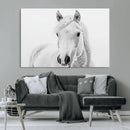 Majestic White Horse Wall Art | Ready to Hang and Framed |