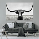 Longhorn Bull Canvas Print | Rustic Farmhouse Wall Art |