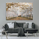 Forest Grove Wall Art | Serene Pathway Canvas Print | Ready