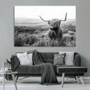 Scottish Highland Cow Wall Art | Black and White Canvas