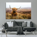 Scottish Highland Cow Canvas Wall Art – Rustic Farmhouse