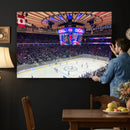 Madison New York Rangers Hockey Stadium Wall Art Canvas