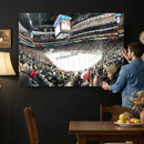 Xcel Energy Center St Paul Minnesota Wild Ice Hockey Stadium