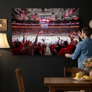 Carolina Hurricanes Ice Hockey Stadium Wall Art, Carolina