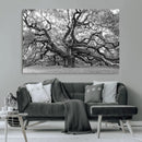 Black White Angel Oak Tree Wall Art - Timeless