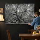 Majestic Angel Oak Tree Black and White Canvas Print – Multi by MyGreatCanvas | Canvas Wall Art Prints | Photo Prints & Wall Decor