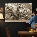 Sepia Framed Angel Oak Tree Wall Art - 3-Panel Canvas