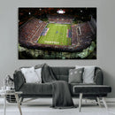 Florida Atlantic University Owls Football Team Print - Boca by MyGreatCanvas | Canvas Wall Art Prints | Photo Prints & Wall Decor