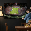 Florida Atlantic University Owls Football Team Print - Boca