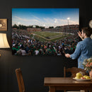 University of Charlotte 49ers Football Team Print -