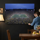 University of Michigan Wolverines Football Team Print - Ann
