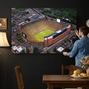 University of Michigan Wolverines Football Team Print - Ann