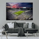 Penn State Nittany Lions Football Team Print - University