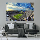 Framed USF Bulls Football Team Print - Tampa Raymond James by MyGreatCanvas | Canvas Wall Art Prints | Photo Prints & Wall Decor