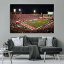 Indiana University Hoosiers Football Team Print Canvas