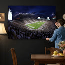 Michigan State Spartans Canvas, Framed Football Team Print -