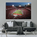 Ohio State University Buckeyes Football Team Print -