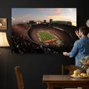 Ohio State University Buckeyes Football Team Print -