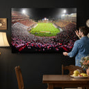 University of Maryland Terrapins Football Team Print -
