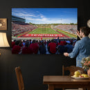 Ball State Cardinals Football Team Print - Muncie Scheumann