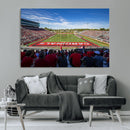 Ball State Cardinals Football Team Print - Muncie Scheumann