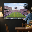 TCU Horned Frogs Football Team Print - Fort Worth Amon G.