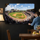 The Texas A&M University Aggies Athletics Team Print -
