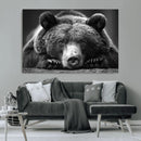 Resting Grizzly 399 Bear Canvas Print | Ready to Hang Wall