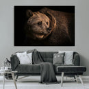 Wild Grizzly 399 Bear Canvas Wall Art Print, Bear Animal by MyGreatCanvas | Canvas Wall Art Prints | Photo Prints & Wall Decor