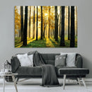 Sunlit Forest Wall Art Canvas Print – Large Framed Woodland