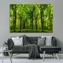 Lush Green Forest Canvas Print | 3-Panel Forest Wall Art |