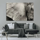 Elephant Wall Art Canvas Print