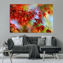 Red Leaves Autumn Forest Wall Art Canvas, Red Leaves Autumn by MyGreatCanvas | Canvas Wall Art Prints | Photo Prints & Wall Decor