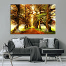 Sunshine in Forest and Trees Wall Art Canvas Print by MyGreatCanvas | Canvas Wall Art Prints | Photo Prints & Wall Decor