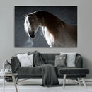 Large Wall Art Cream Colored Horse on Grey Background Canvas