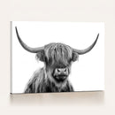 Scottish Highland Cow Cattle Art Print Wall Art Canvas Print