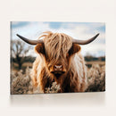 Scottish Cow Longhorn Wall Art Canvas Print