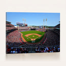 Cincinnati Reds Baseball Canvas Print - American Ball