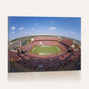 William Brice Stadium Wall Art Canvas Print – Stadium Crowd