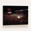 William Brice Stadium Wall Art Print – Baseball Game Room
