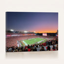 Dooley Stadium Wall Art, Sports Arena Canvas Print, Dooley