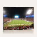 Dooley Stadium Wall Art, Sports Arena Panoramic Canvas