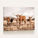 Texas Longhorn Cattle Wall Art Canvas Print, Sepia Western