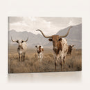 Rustic Texas Longhorn Cow Canvas Wall Art Print, Rustic Farm Animal Photography Print, Farmhouse Country Decor, Western Ranch Art