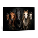 Horse Wall Art Canvas Print, Wild Horses Portrait Photography, Dramatic Equestrian Decor, Black Brown White Horse Herd, Rustic Ranch Art by MyGreatCanvas | Canvas Wall Art Prints | Photo Prints & Wall Decor