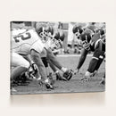 American Football Player Wall Art Canvas Print