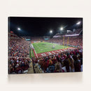 Washington-Grizzly Stadium Canvas Print, American Football
